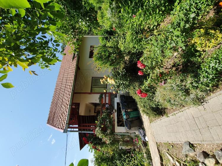 Clisura Dunarii Pensiune Casa cu Smochini - 1