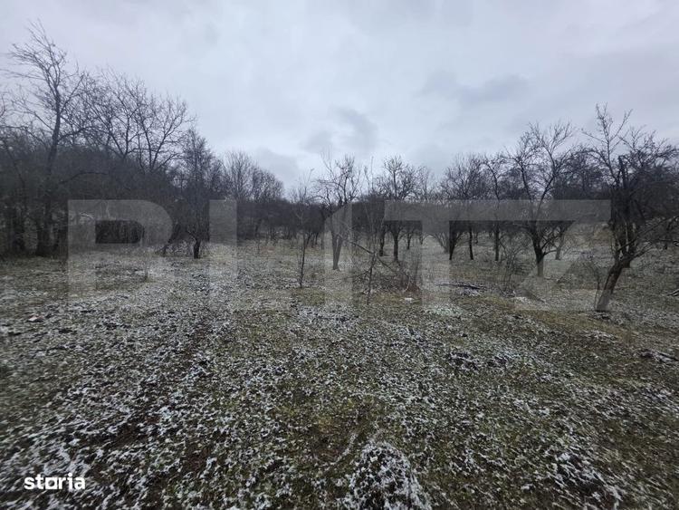 Teren intravilan, 9066 mp, zona Aninoasa - 1