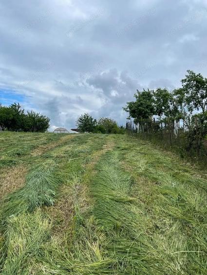 Vand casa in Ianosda, Bihor, renovata, cu baie, apa curenta, canalizare si gaze la poarta - 5