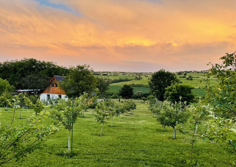 Cabana Pre? negociabil! Blaj, Alba - 7