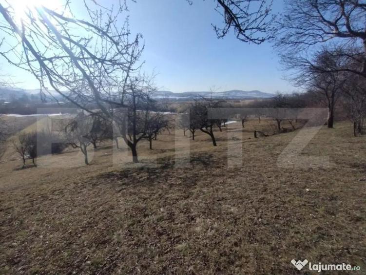 Teren extravilan de vanzare, 25 ari, zona Rusul Bargaului - 4