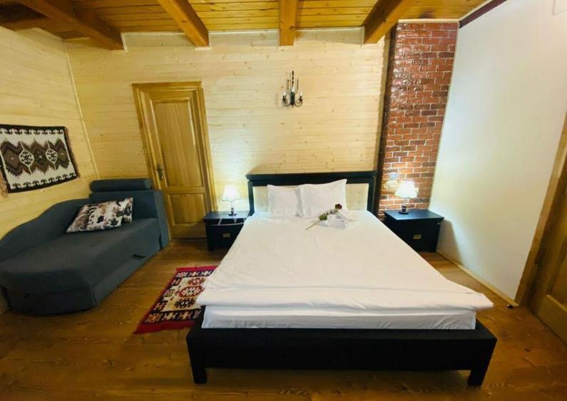 Pensiune traditionala cu clientela formata, Viseu de Sus, Ma - 2