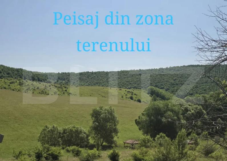 Teren intravilan construibil in Salicea - 2