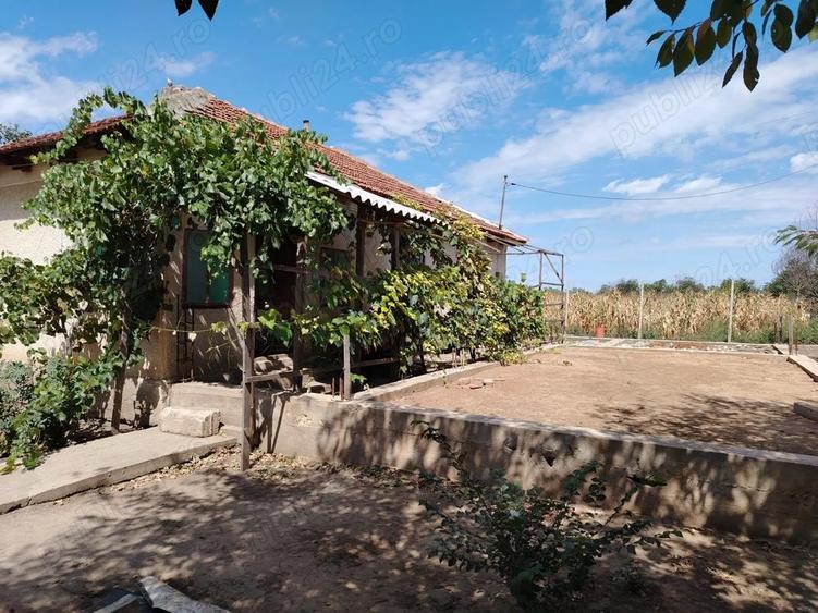 Casa de vanzare in sat LANURILE - 5