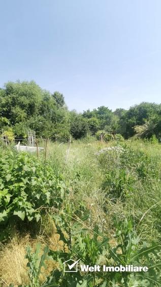 Casa individuala cu gradina frumoasa, teren mare Moldovenesti-Cluj - 20