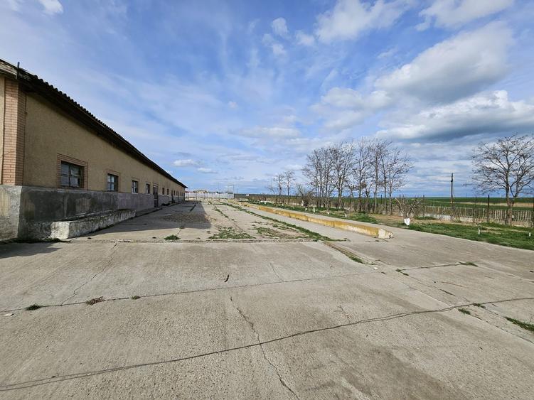 Ferma de vanzare sau la schimb cu teren arabil, imobiliare - 4