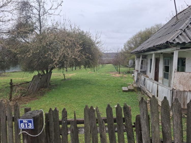 Teren de vanzare Gheboieni DB intravilan+extravilan - 7