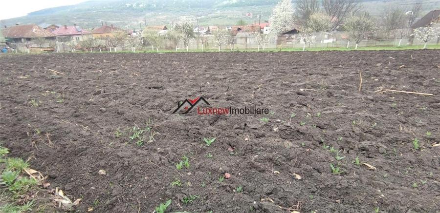 Teren intravilan 600 mp cu utilitati in Suceagu! - 5