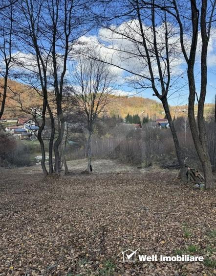 Teren spectaculos, intravilan,  Feleacu, zona linistita, padure + parau. - 1
