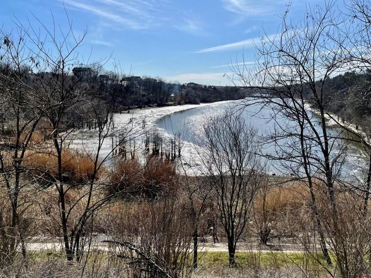 Teren Branesti cu deschidere la lac aproape de padure - 5