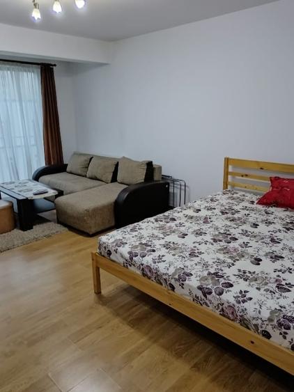 Proprietar, Dau în chirie apartament cu 1 cameră, Mănăștur, Flora Parc - 2
