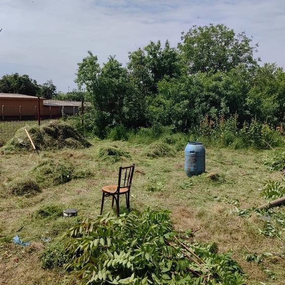 Casa batraneasca Ogrezeni Hobaia la 15-20 min de centura Militari-Buc - 3