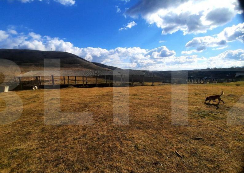 Ferma in intravilanul comunei Cojocna, 5 Ha cu hale - 1