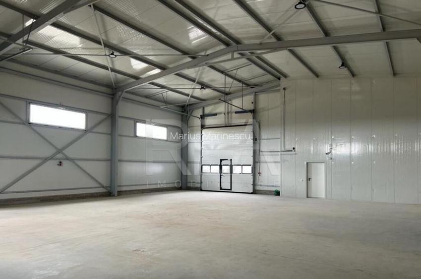 Hala de inchiriat in Domnesti / Centura