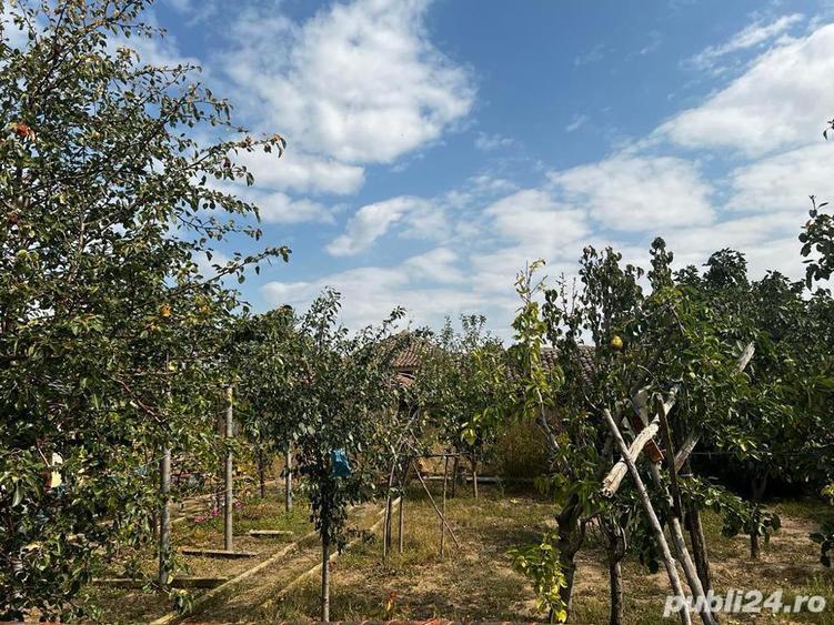 Ceamurlia de sus Casa de vanzare - 1