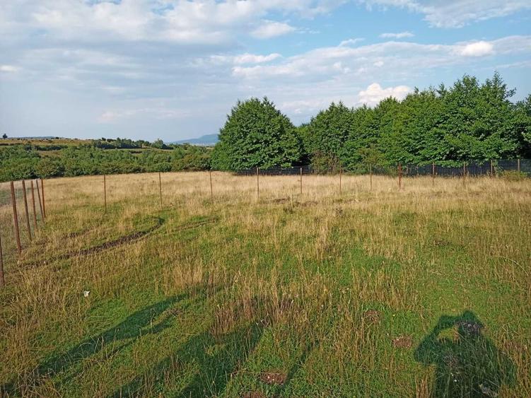 Teren de vanzare 1060mp Zarnesti/Tohanita - 6