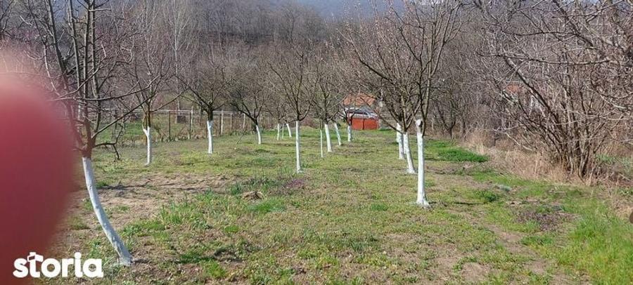 Teren intrare Herculane,E 70 Herculane-Orsova - 2