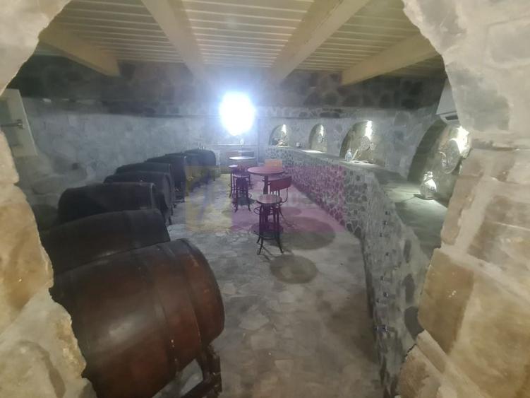 Vila de vanzare in Campina - Zona Lunca Mare - 39