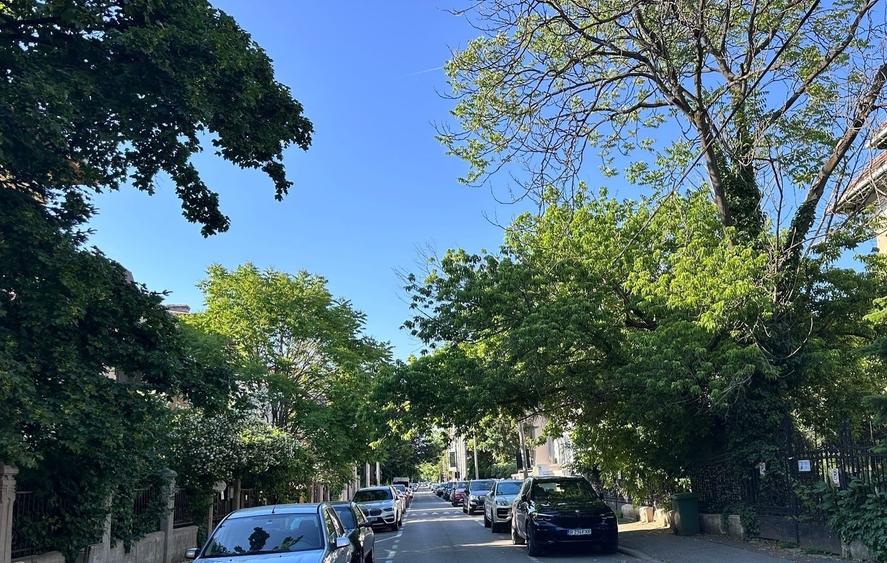 Vila interbelică în zona Aviatorilor - 2