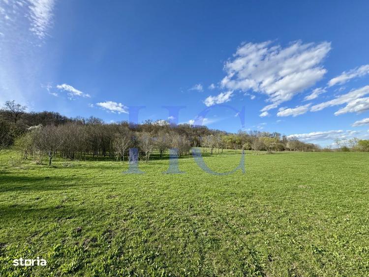 Teren | Sat Bradu, Jud. Sibiu | Ideal Cabane A-Frame & Parcelare - 5