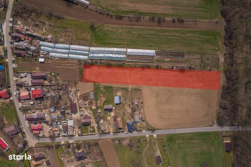 Nuci - Balta Neagra, Lot 3900 Mp, La Padure! - 7