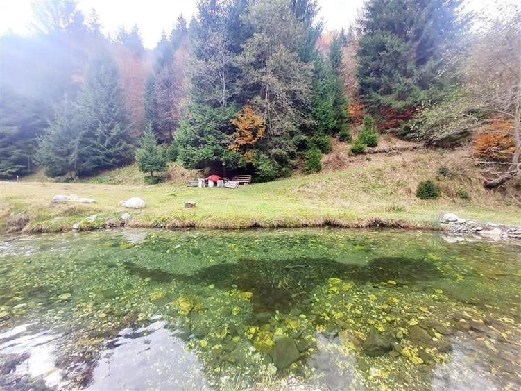 Teren intravilan panoramic 4.600mp,view iconic Piatra Craiului,oportunitate prem - 10