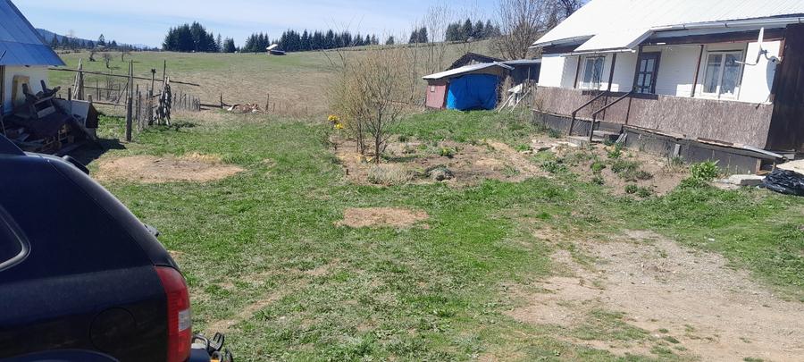 Vând casa batraneasca și teren 3892m  - 4