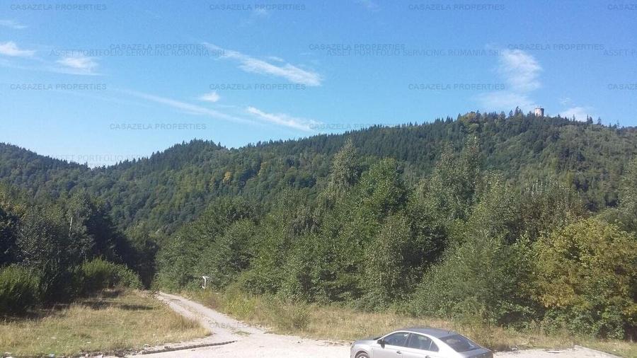 Teren 8000 mp Leresti, 83.885 eur - 1