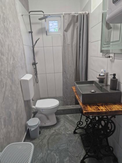 Vand casa in loc. Archita - 4