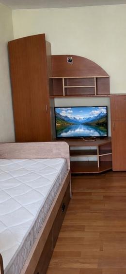 Farsoniera - Tractorul- langa Coresi Mall- Pet Friendly  - 4