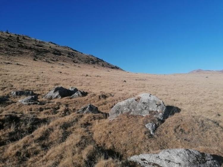 Platoul Bucegi zona Blana 2500mp intravilan construibil - TransBucegi - 12