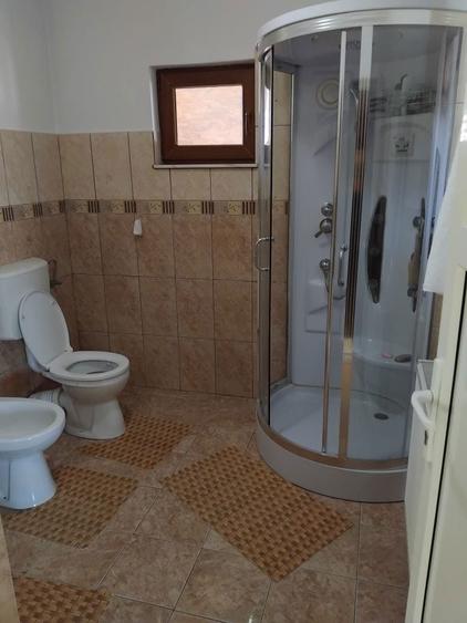 Casa de vanzare P+M zona Budesti Valcea - 6