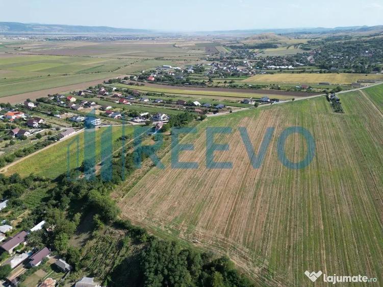 Teren de vanzare, Com. Sarata, Jud. Bacau - 9