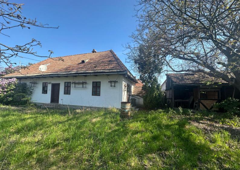 Casa Individuala Ozun Covasna teren 3200 mp - 5