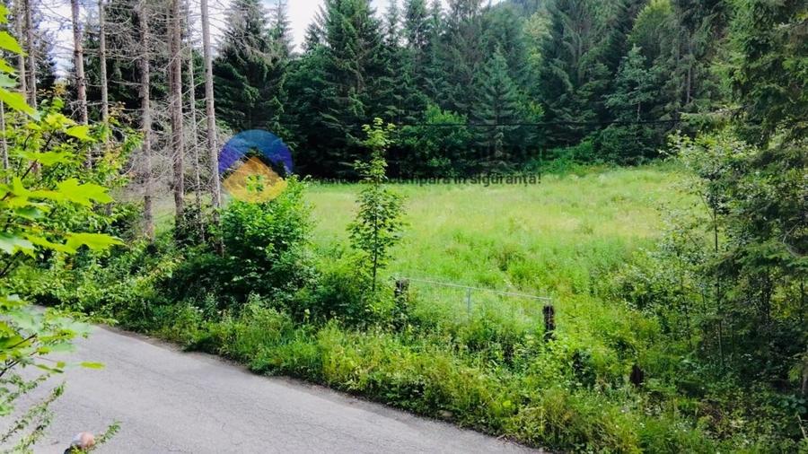 TEREN intravilan  comuna TARCAU - SCHITU - 9