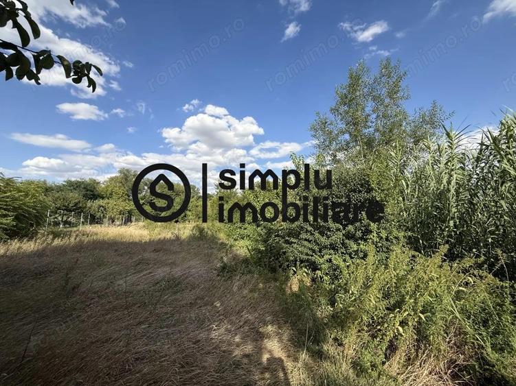 Casa + Teren 1676 Strada Principala Malul Mare - 9