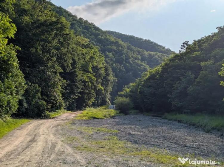 Sarata Bai- Oportunitate investi?ie- 4038 mp- priveli?te - 10