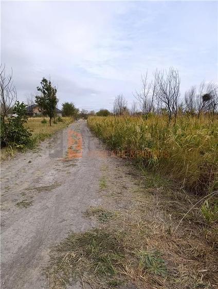 Teren extravilan in zona Spataru - 2