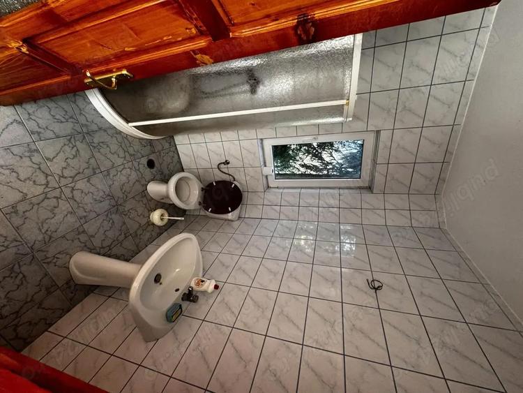 Vila cu livada Paulis, Arad - 2