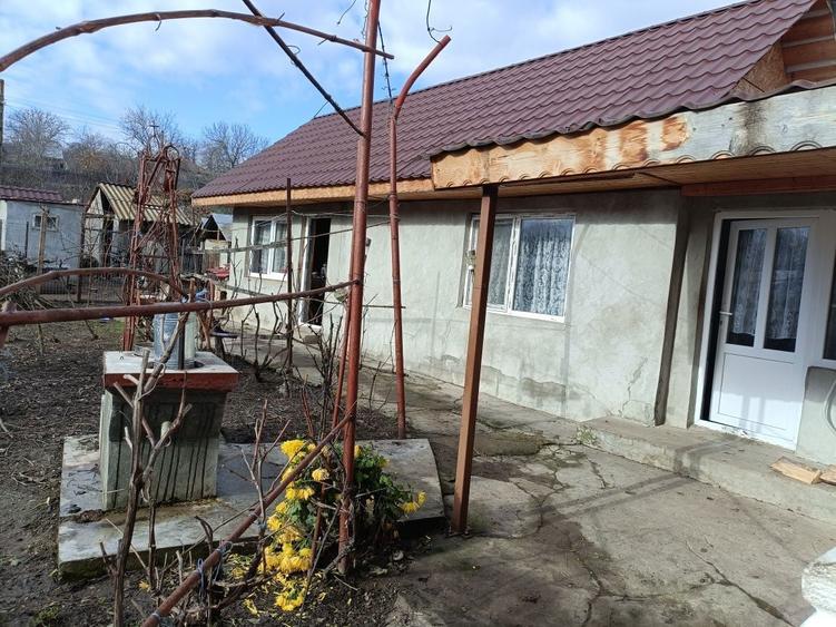 Casa si teren comuna Buda BZ - 6