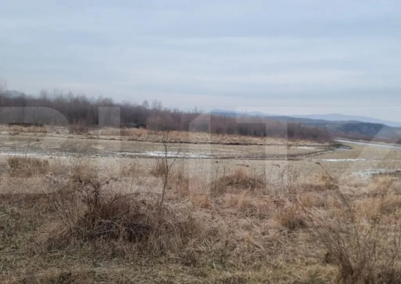 TEREN,extravilan,14 HA ,LIPANESTI PH - 2