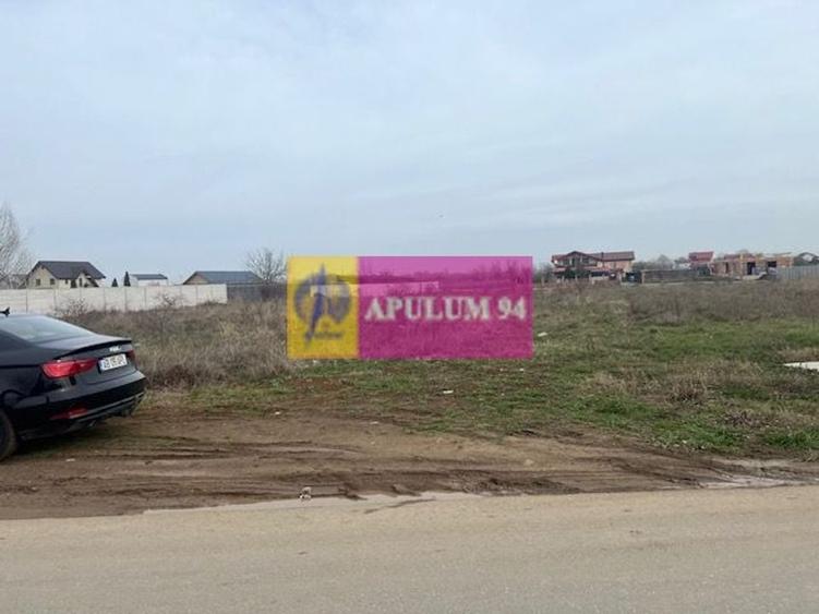 Teren Domnesti- Drumul Targului. - 2