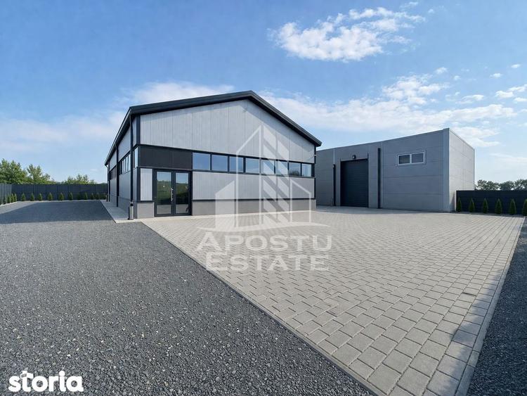 Hala de inchiriat Sacalaz, curte generoasa, show-room, service auto - 1