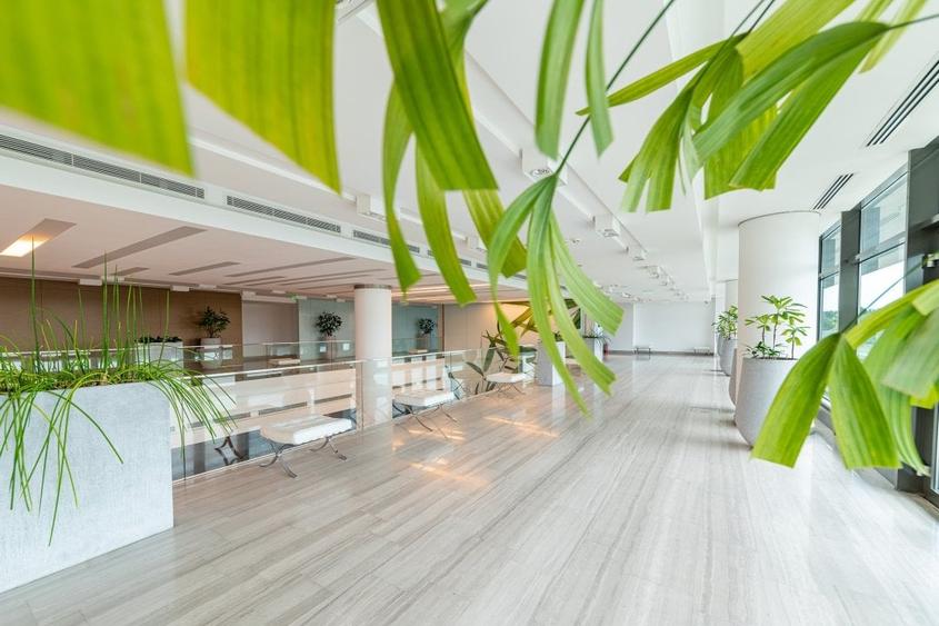 SPATIU BIROURI CLASA A - 1