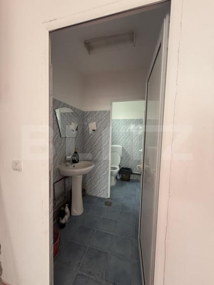 Inchiriere Hale Industriale + Showroom + Birouri -Acces TI - 9
