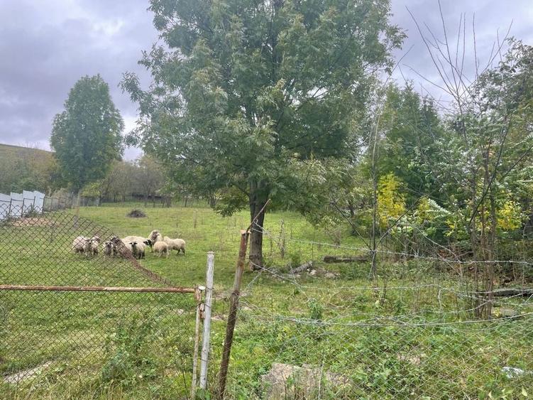 Teren intravilan 1.608 mp Martinesti lac in fata - 2