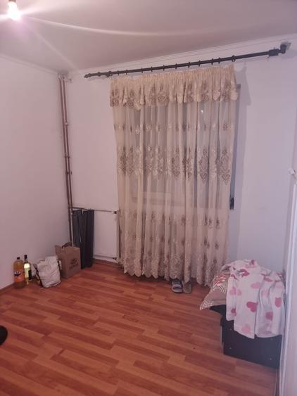 Vadul Nou, Profi - 1