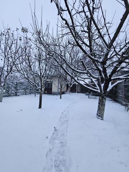 🏡 EXCLUSIV | Duplex premium de vânzare | Complet mobilat | Teren 735 mp | - 4