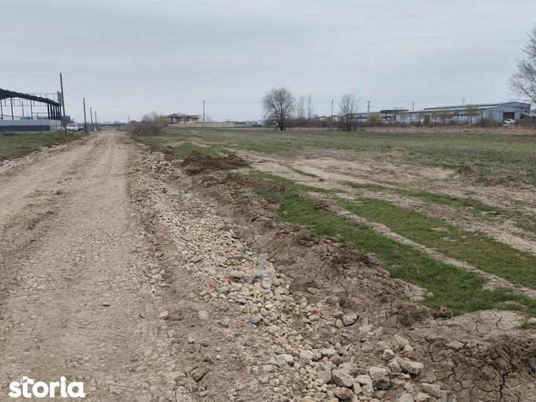 FARA COMISIOANE LOTURI TEREN CONSTRUCTII HALE in ZONA DE HALE merita v - 7