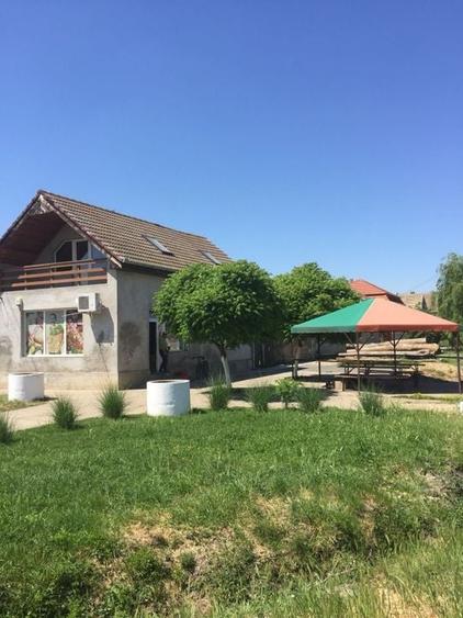 Spațiu comercial | DN69  | comuna Pesac | 50 km de Timișoara - 2